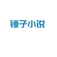 锤子小说下载