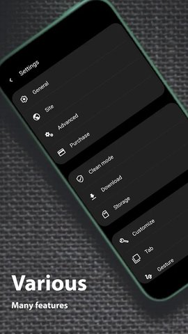 灵魂浏览器纯净版下载1