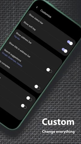 灵魂浏览器纯净版下载4