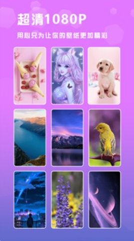 范时壁纸app安卓版下载3