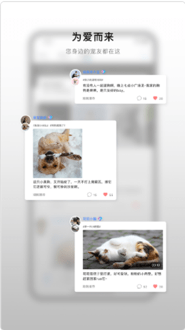 小它宠物安卓版下载2