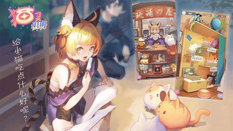 猫灵相册游戏下载4