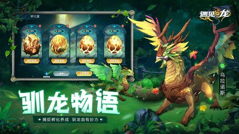 遇见龙最新免费版下载