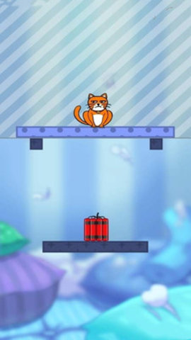 我的猫咪免费版下载4