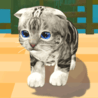 猫咪度假村免费版下载