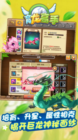 育龙高手真正免费版下载1