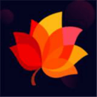 秋叶社区安卓版下载 v1.1.5