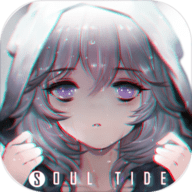 灵魂潮汐b服下载 v0.40.5