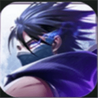 荣耀全明星辅助器下载最新版 v1.1.0