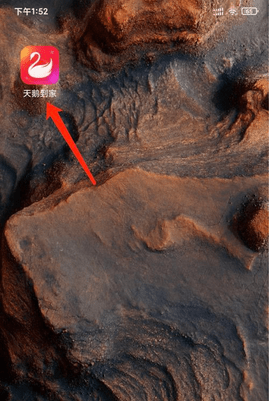 天鹅到家官方app下载