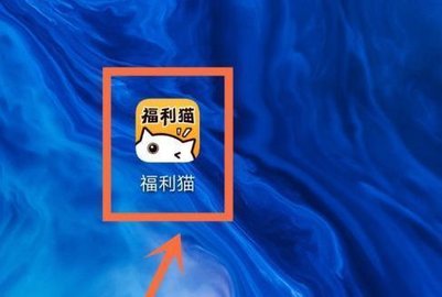 福利猫游戏礼包下载安装