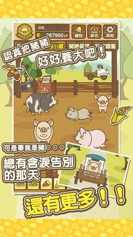 养猪场mixapp下载2