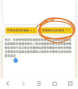 与熊论道app解码器官方下载