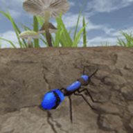 丛林抵御战免费版免广告下载 v1.1.1