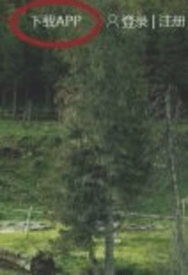 皇包车旅行app最新下载