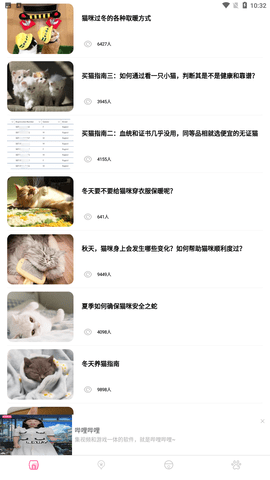 猫猫翻译器app安卓正式版下载