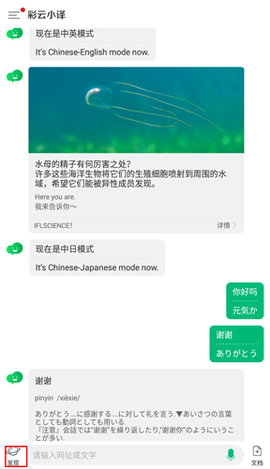 彩云小译App手机正式版下载