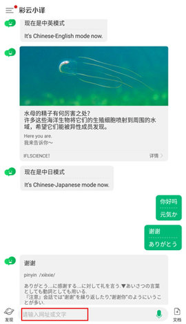 彩云小译App手机正式版下载