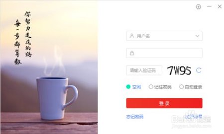 爱番番官方正式版下载