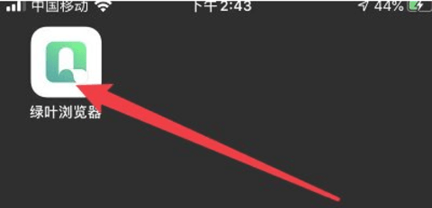 绿叶浏览器官方手机版下载