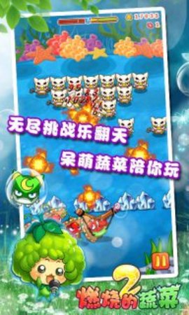燃烧的蔬菜2最新版下载3
