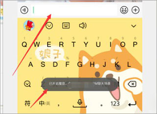 qq输入法去广告去升级精简版下载