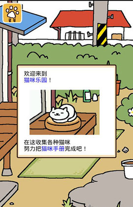 猫咪后院无限金鱼干版下载1