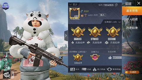 和平精英个人主页生成器下载安装包