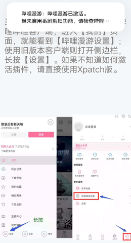 哔哩哔哩漫游版客户端下载3