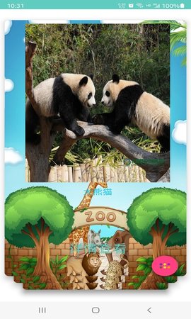 飞飞识动物app最新版下载4