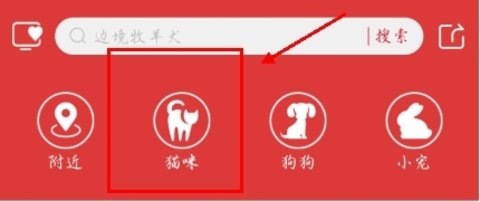 宠物市场在线交易平台下载