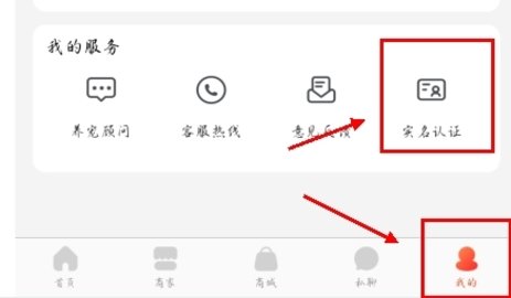 宠物市场在线交易平台下载