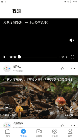 七彩云端安卓版下载2