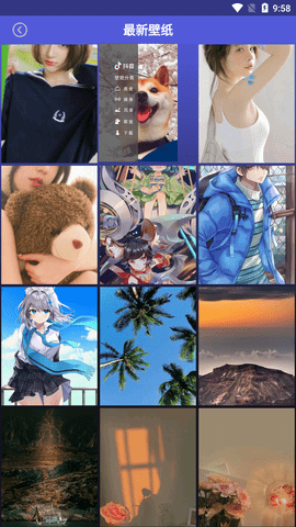 壁纸图片大师免费下载3