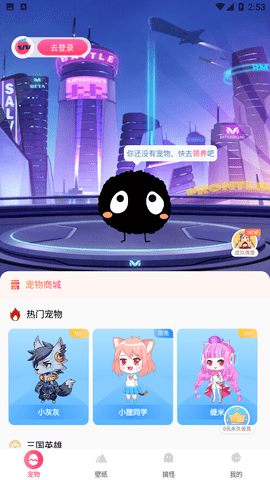 番茄动态壁纸手机版下载4