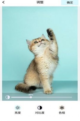 青橘美化官方正式版下载4