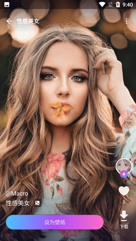 壁纸酱APP免费版下载1