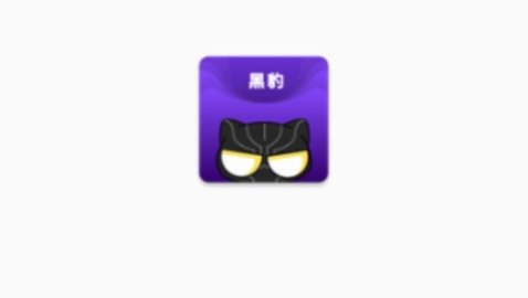 黑豹网络助手手机版下载