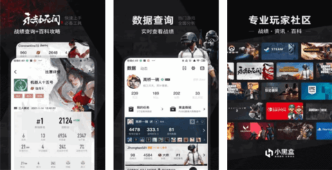 小黑盒概念版下载