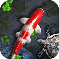 动态荷花锦鲤鱼池无限金币解锁版下载