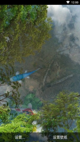 动态荷花锦鲤鱼池无限金币解锁版下载2