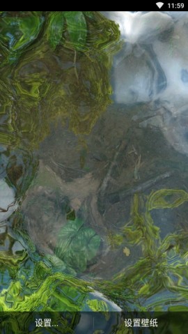 动态荷花锦鲤鱼池无限金币解锁版下载3