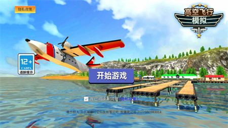 高空飞行模拟游戏安卓版下载