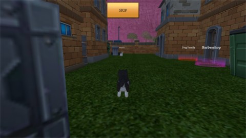 最新的美国zoom动物游戏下载2