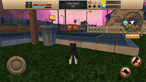 最新的美国zoom动物游戏下载