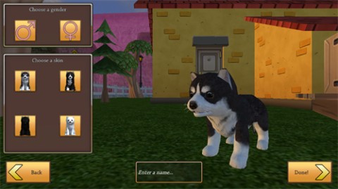 最新的美国zoom动物游戏下载