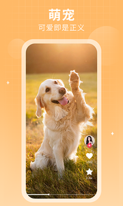 剧多多app安卓最新版下载3