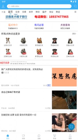 猛犬俱乐部2025官方最新版下载