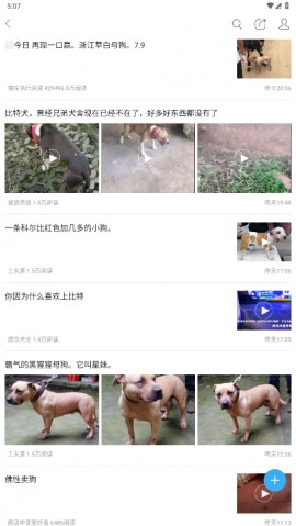 猛犬俱乐部2025官方最新版下载2