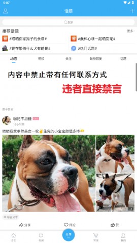 猛犬俱乐部2025官方最新版下载3